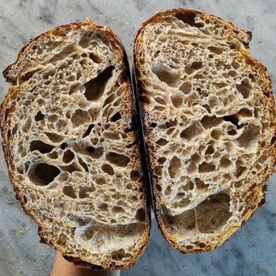 Make Poolish Bread with Home Grown Wheat Sprouts – Sydney Sprouts