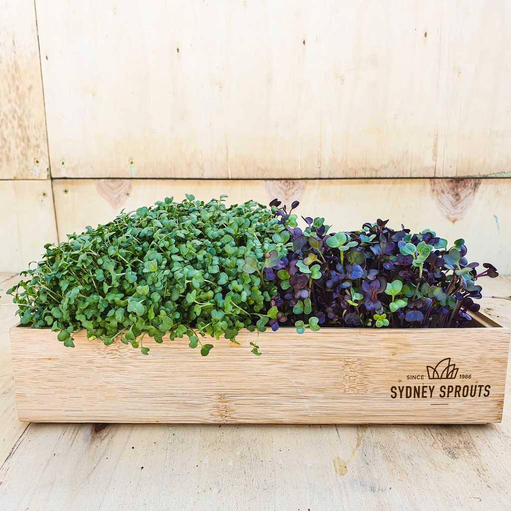 Bamboo microgreens tray