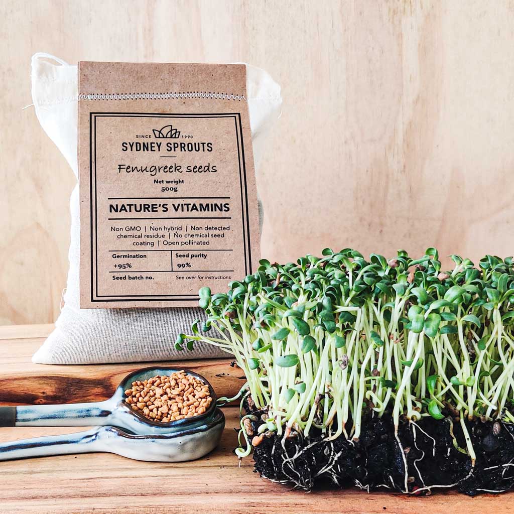 Fenugreek sprouting seeds - Microgreens