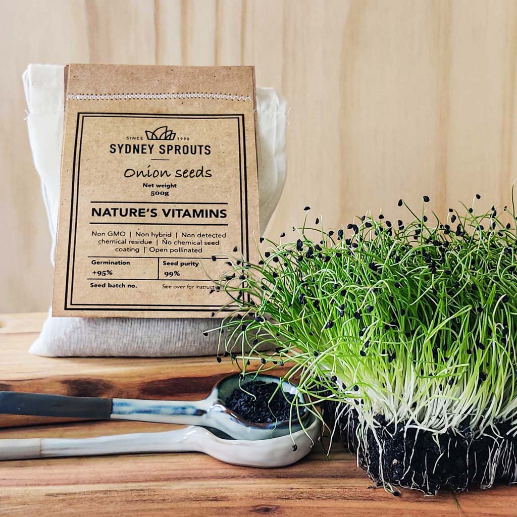onion microgreen seeds