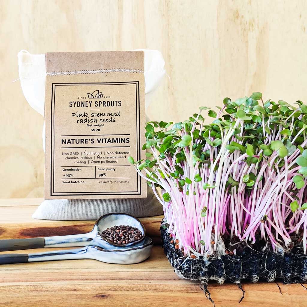 pink-stemmed radish microgreen seeds