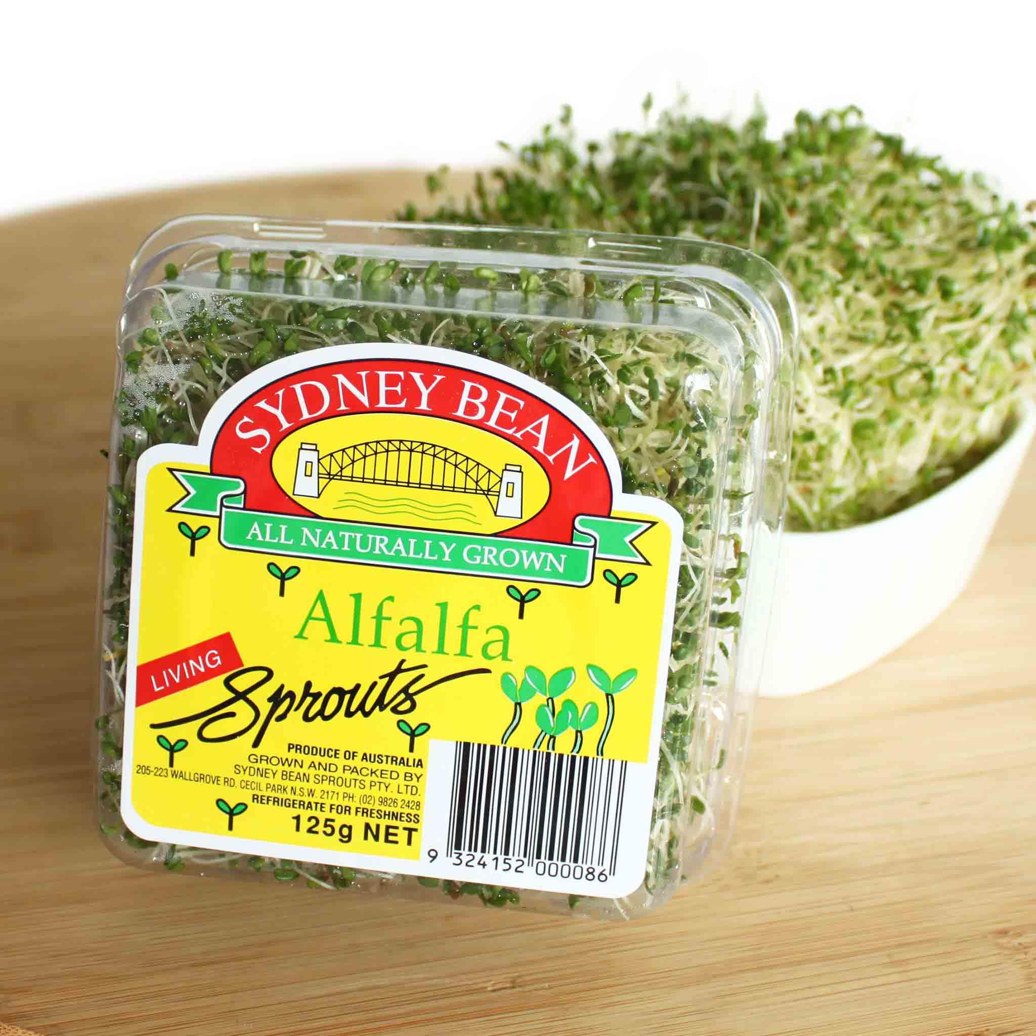 Alfalfa Sprouts