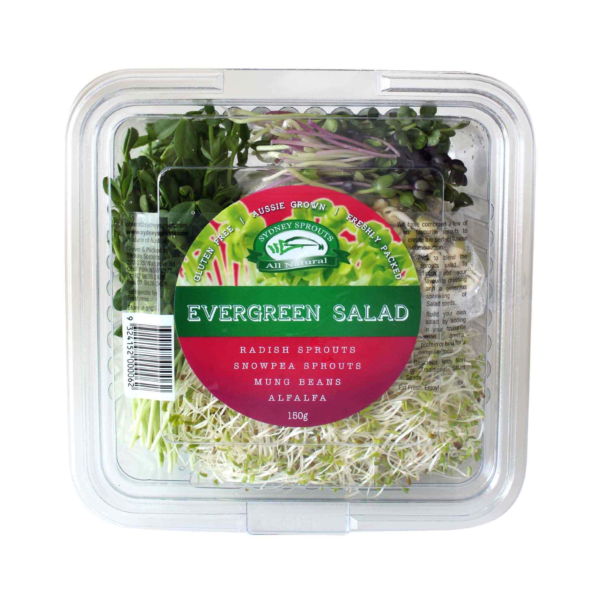 Evergreen Salad