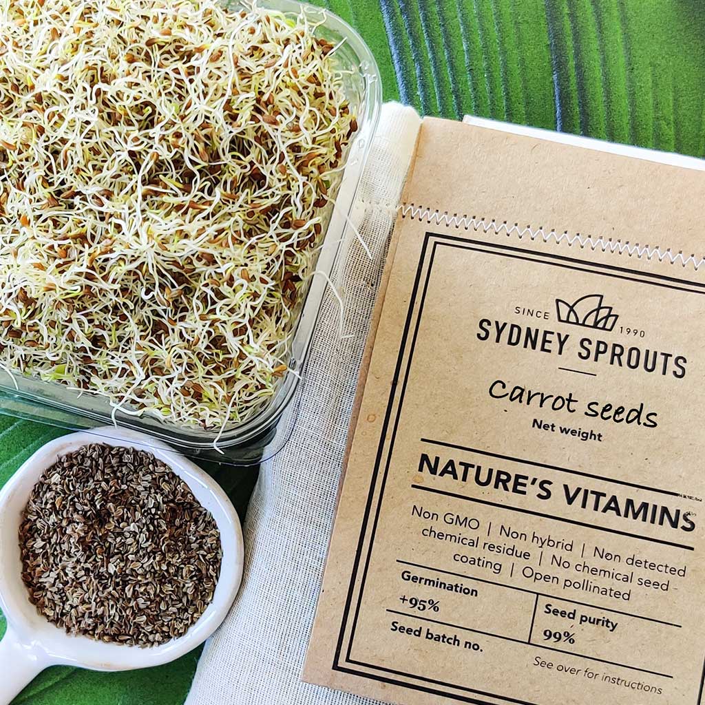 carrot sprouting seeds