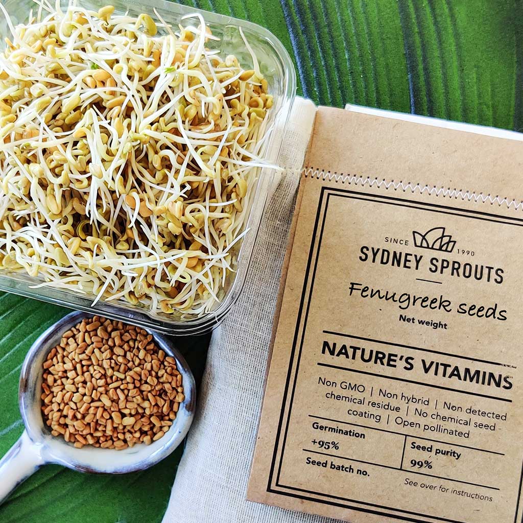 Fenugreek Sprouting Seeds