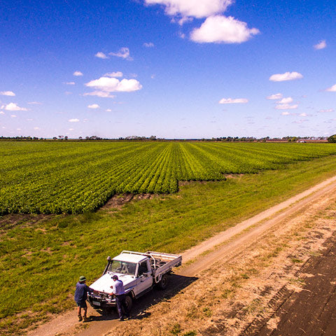 Meet Shane Lougheed… Seed Guru