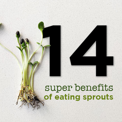 14 super benefits of eating sprouts