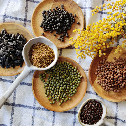 Power Plants. Why lentil sprouts are the real protein superfood.