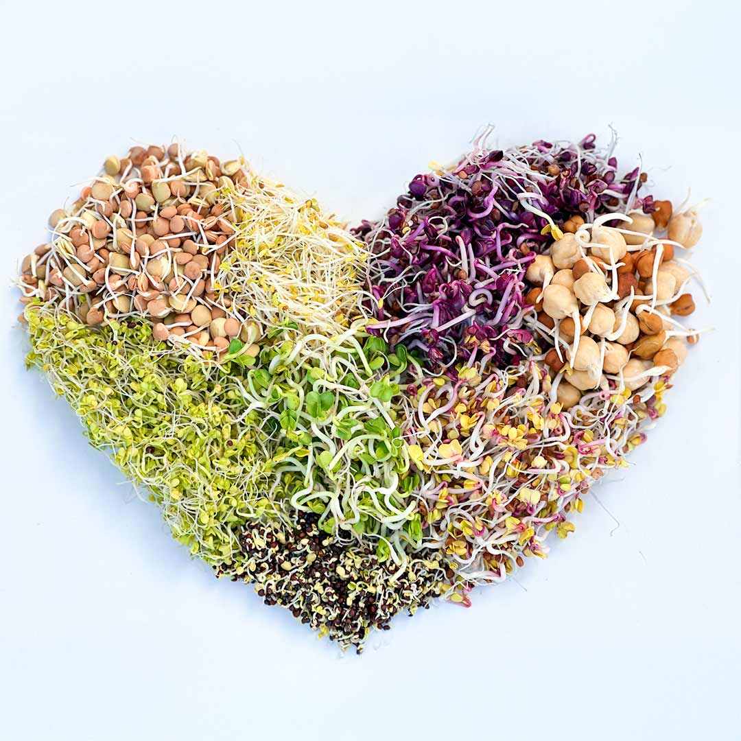 sprouts in heart shape