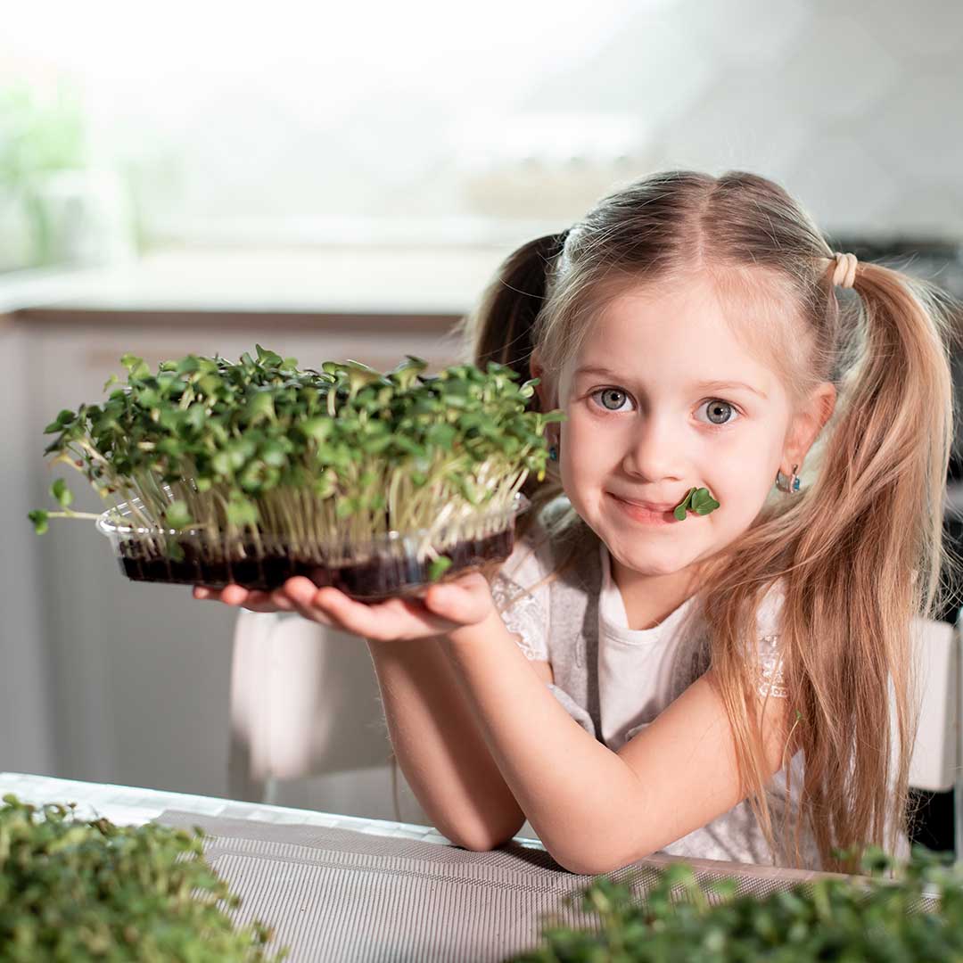Sprouts for Kids – Sydney Sprouts