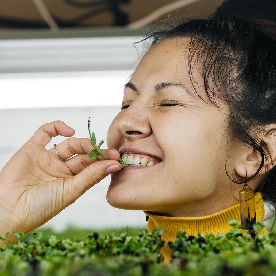 broccoli sprouts powder beauty superfood