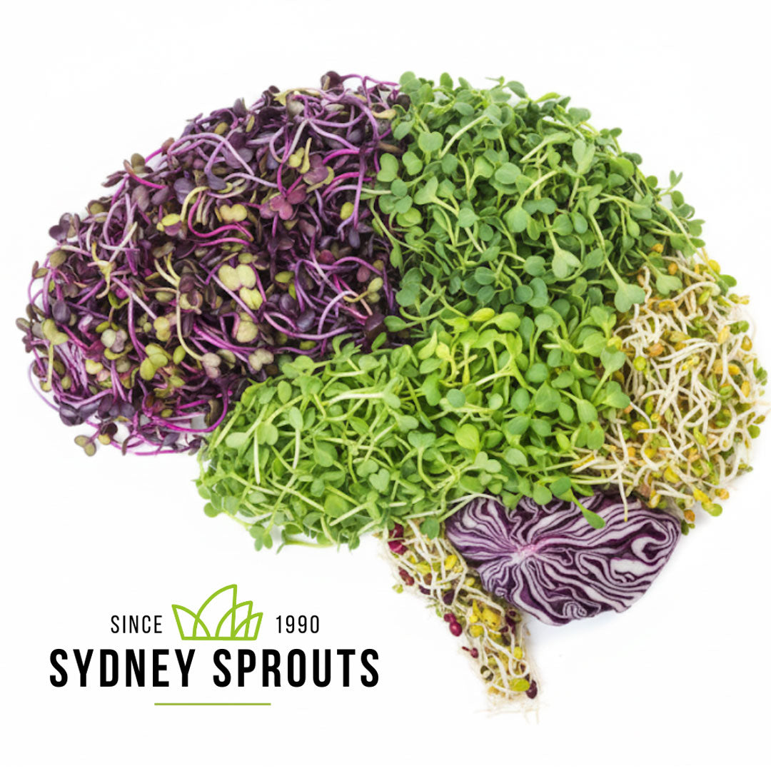 How Sprouts can Boost your Brainpower