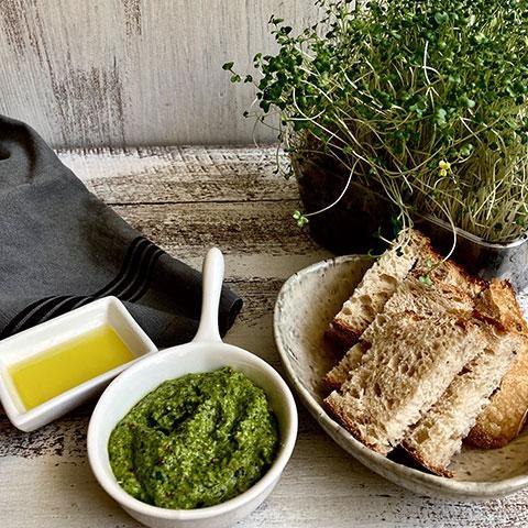 broccoli sprout pesto