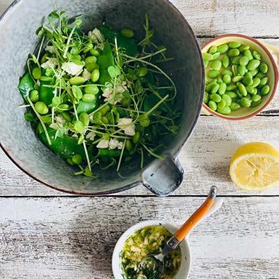 Pea sprout with snow pea salad 