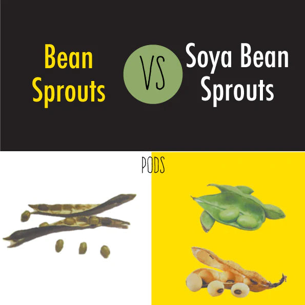 The difference between bean sprouts and soya bean sprouts