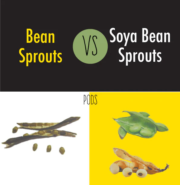 The difference between bean sprouts and soya bean sprouts