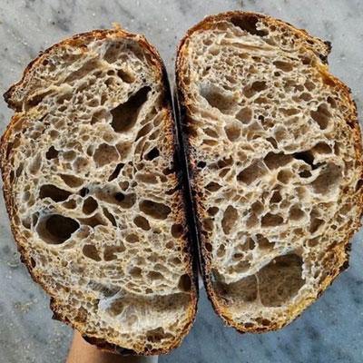 Poolish bread with home grown wheat sprouts - Sydney Sprouts