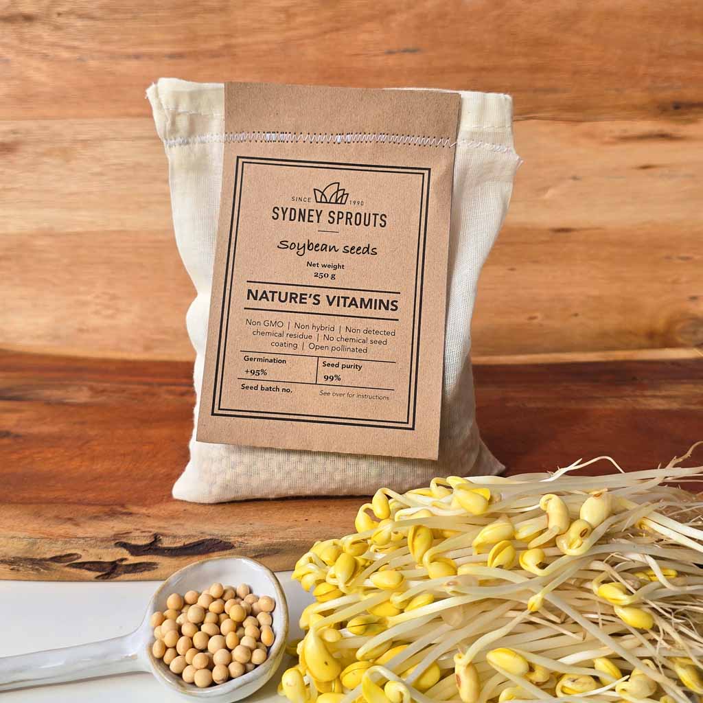 soybean seeds korean style
