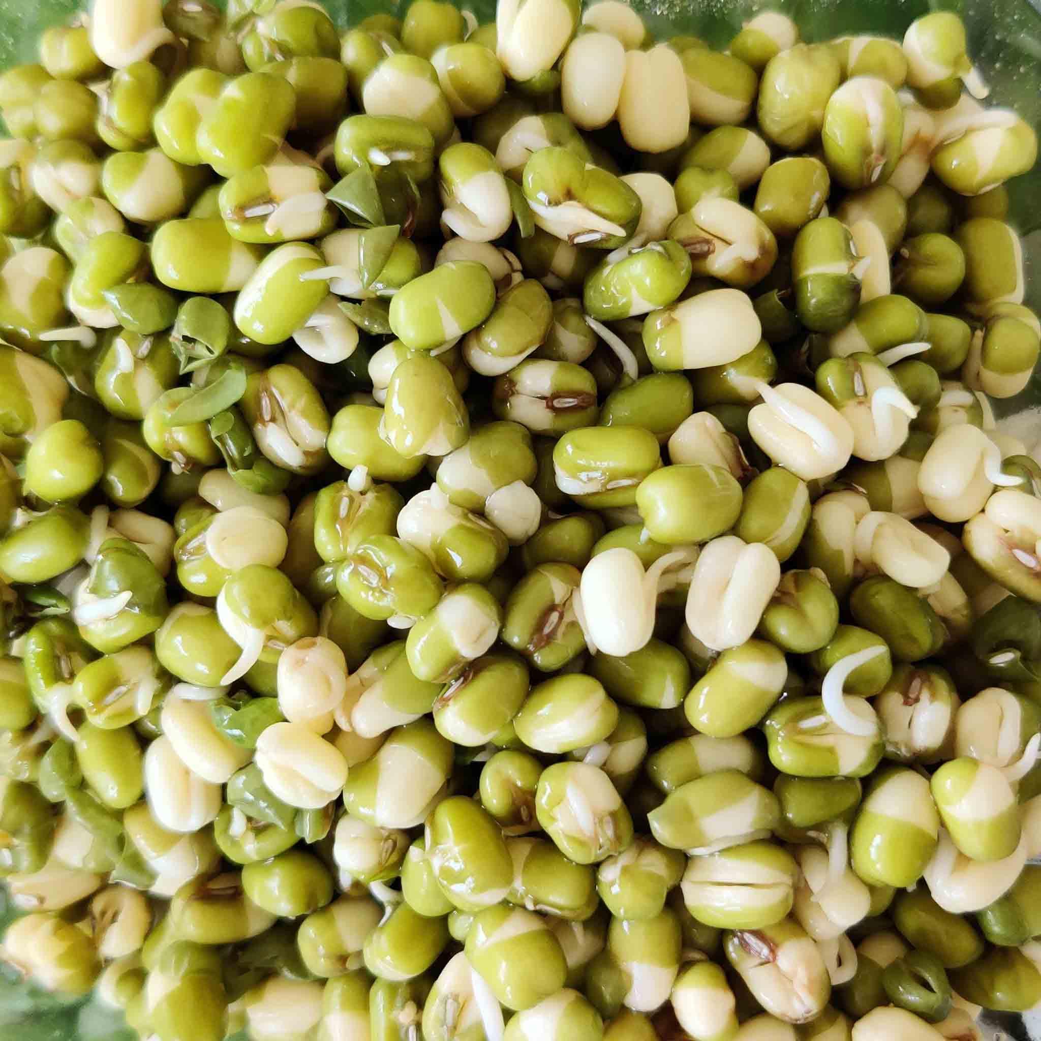 Mung Beans sprouts