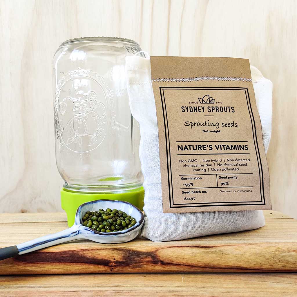 Grow Your Own Sprouting Jar and Strainer Lid – Sydney Sprouts