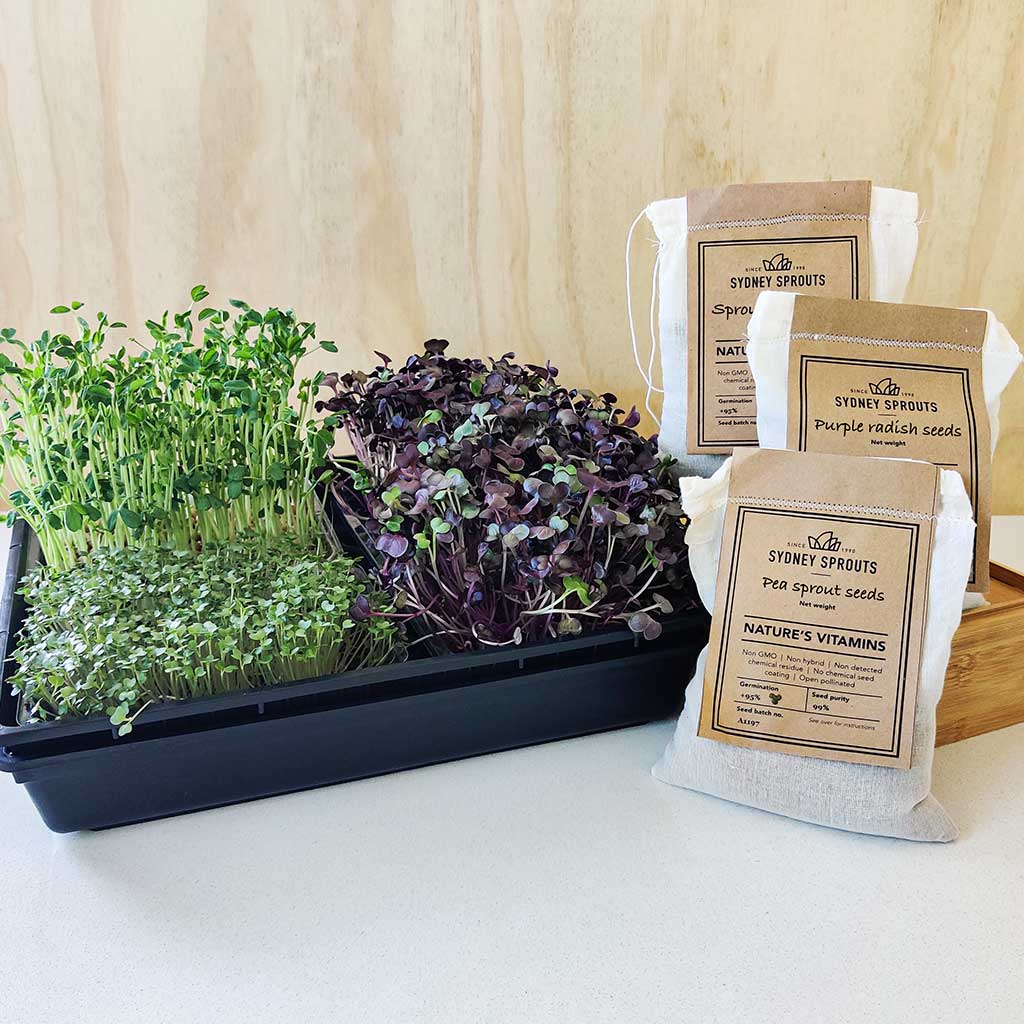 Large microgreens garden tray with 3 seeds