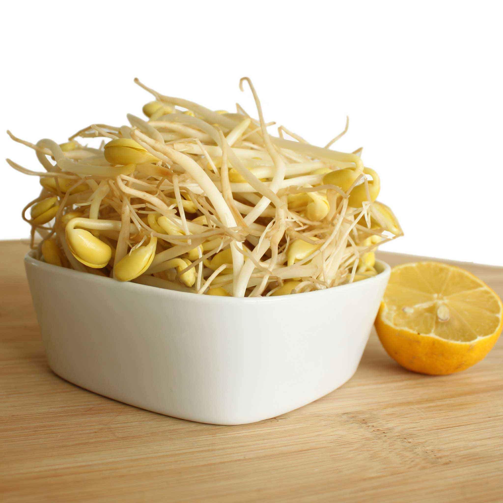 Soya Beans Sprouts (packet)